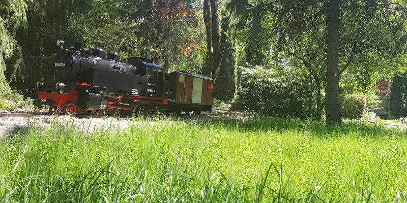 2b06db8c-6dd1-493d-b0a7-d282bc9202d2