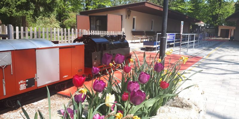 baba1c69-7ba7-41ed-b011-73aa1c398065